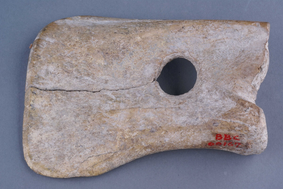 写实原始石刀 石器时代 石头刀 刀耕火种 原始人工具 原始时期 生活工具-cg模型免费下载-CG99